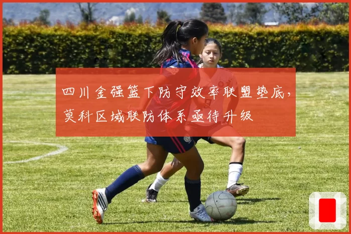 四川金强篮下防守效率联盟垫底，莫科区域联防体系亟待升级